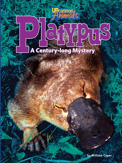 Cover image for Platypus